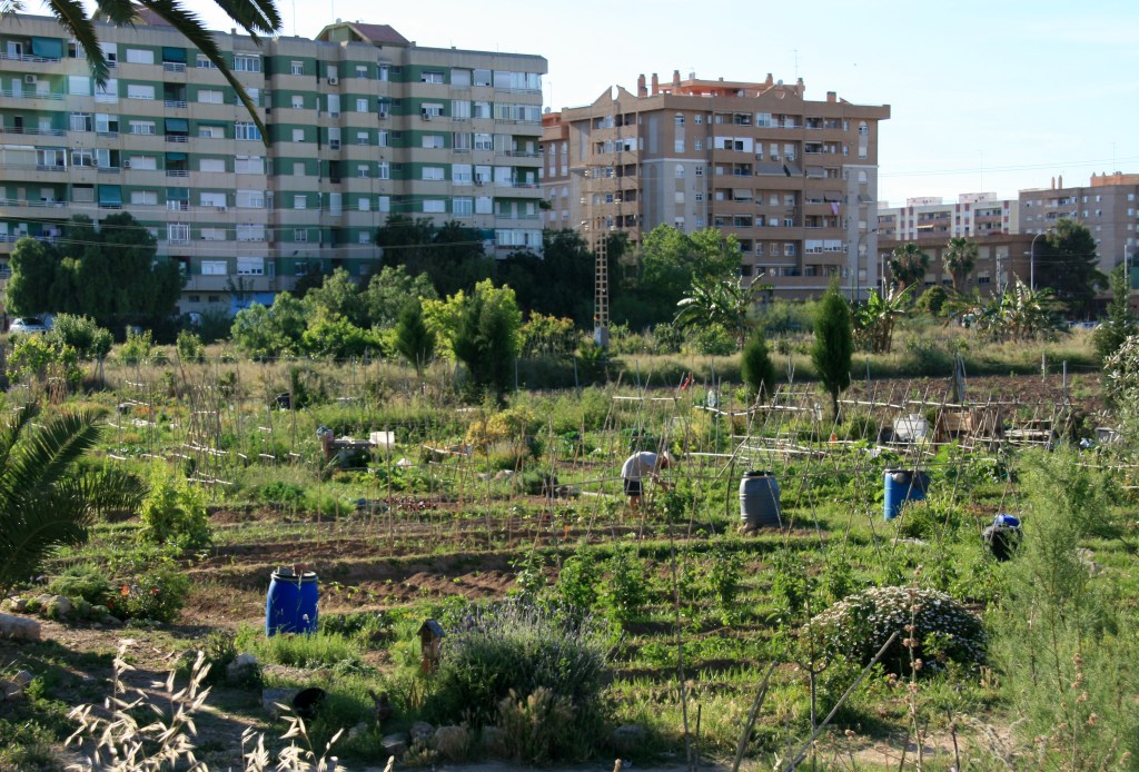 los huertos de Benimaclet. 