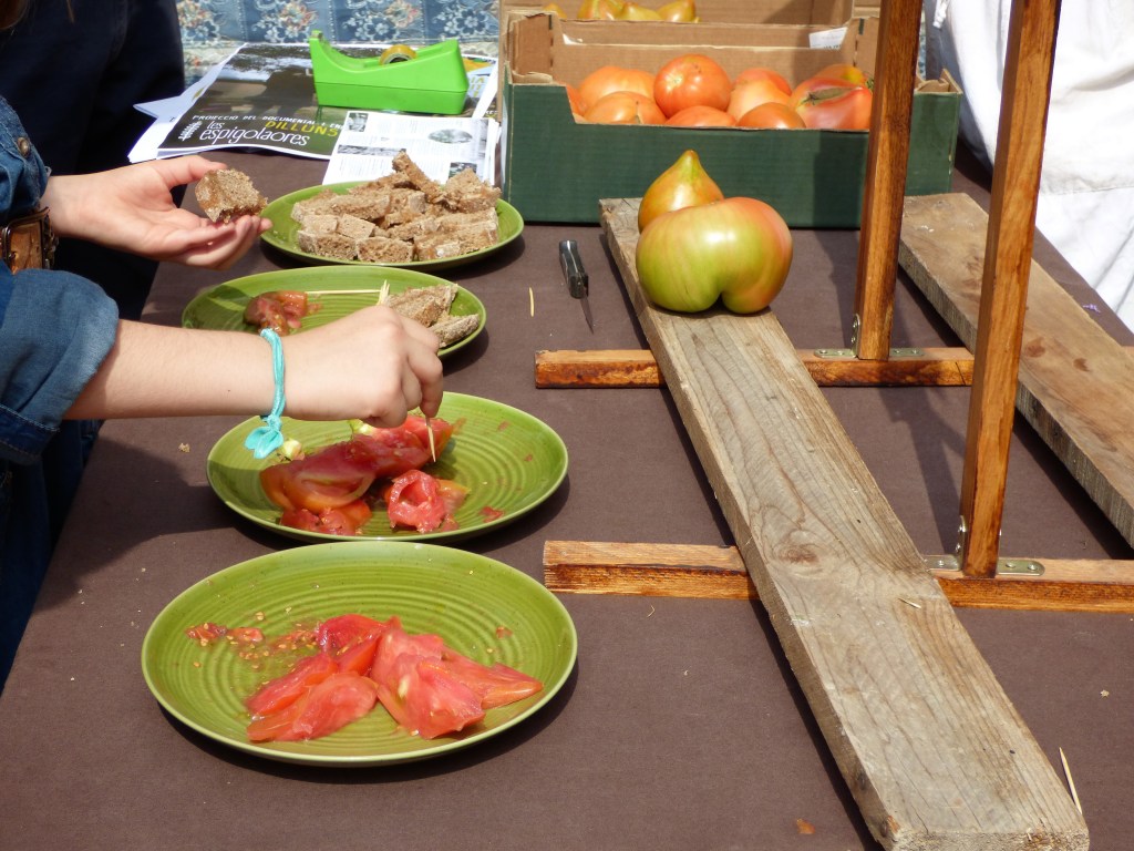 Cata de tomates valencianos en el Ecomaclet de Benimaclet