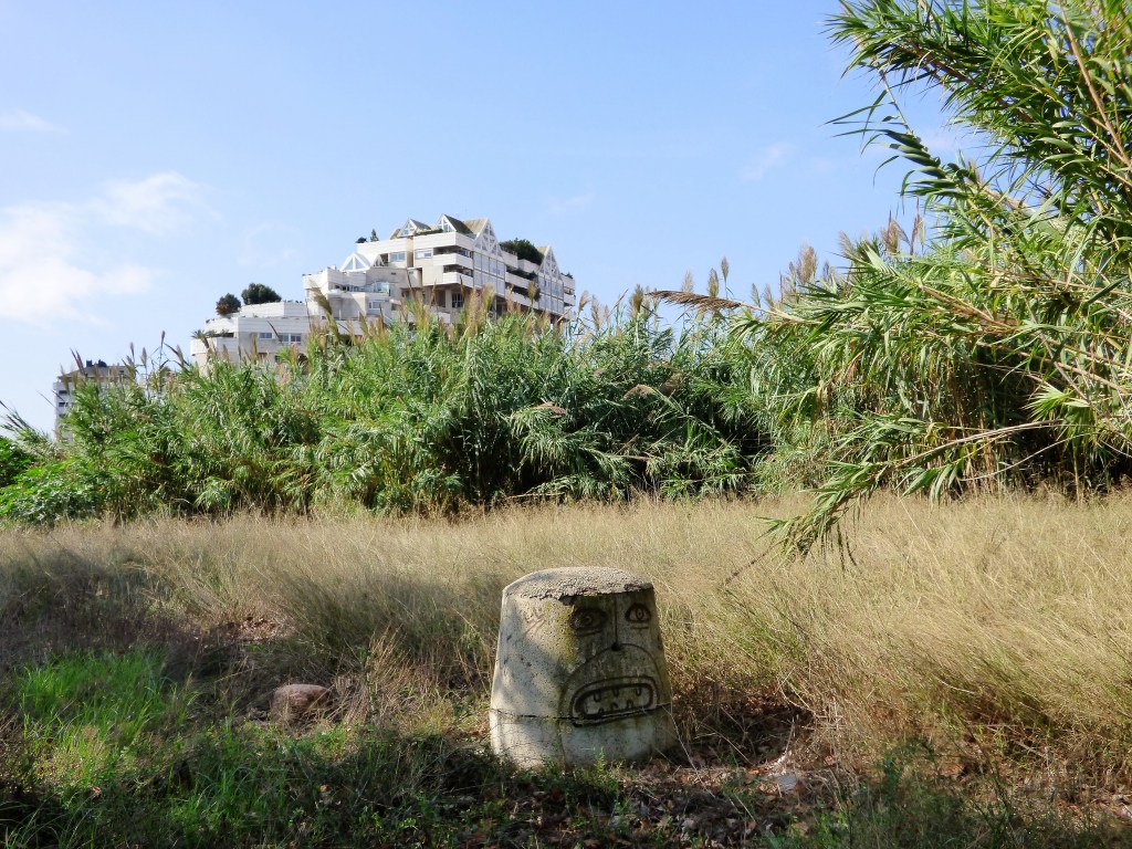 Terrenos del PAI de Benimaclet