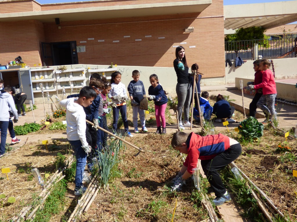 Trabajo en el huerto escolar de Benimaclet