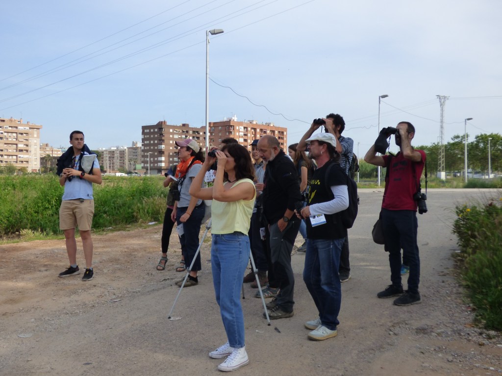 Un momento del paseo ornitológico por Benimaclet, con personas mirando por los tomavistas