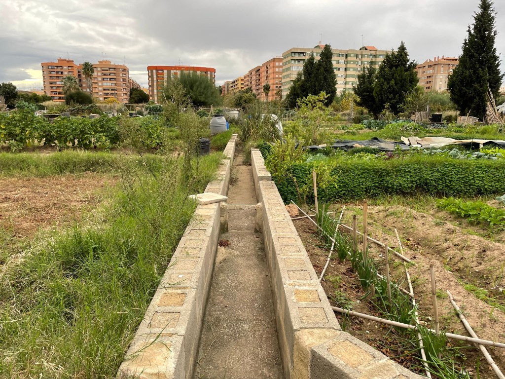 Los huertos urbanos de Benimaclet, rodeados de fincas.