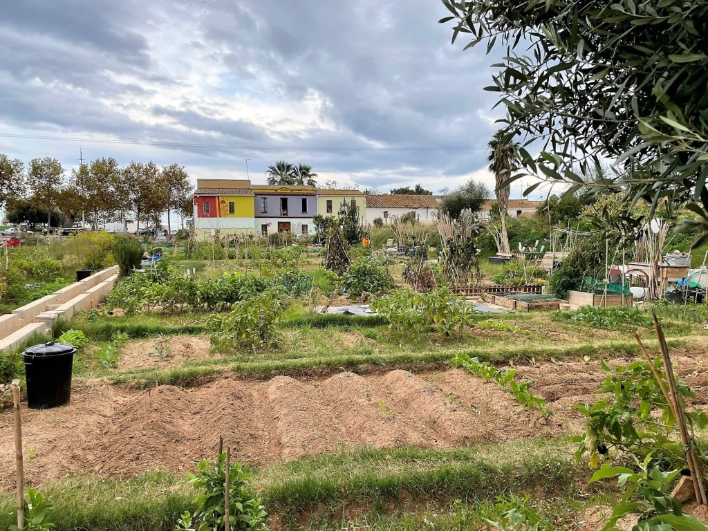 Los huertos urbanos de Benimaclet