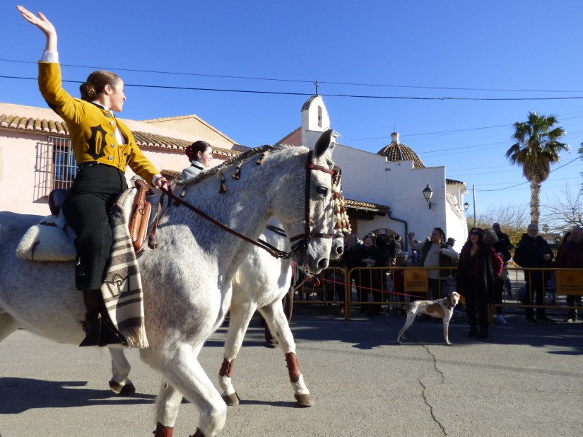 Llegada de caballos a la ermita de Vera para la Festa de Sant Antoni